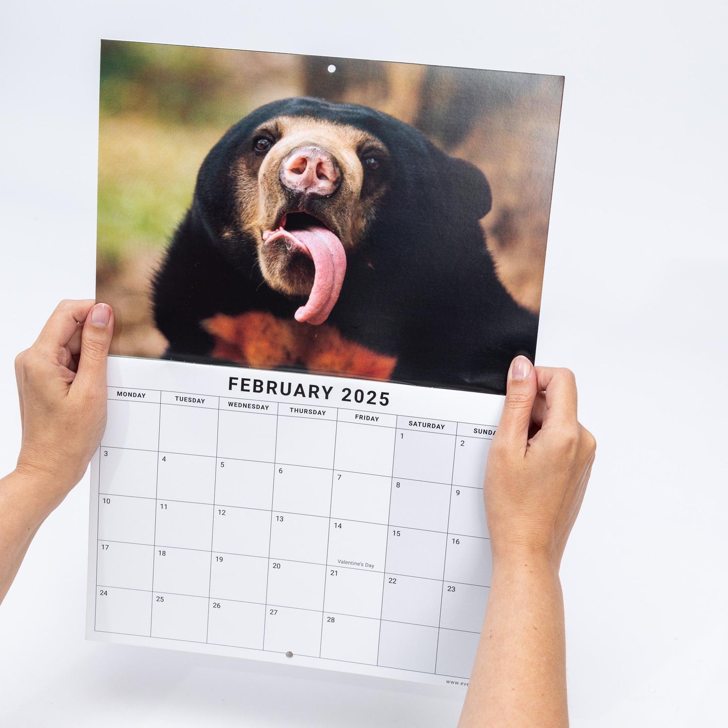 2025 Calendar Animal Selfies Wall Monthly Planner Family Home Organiser Animal Selfies