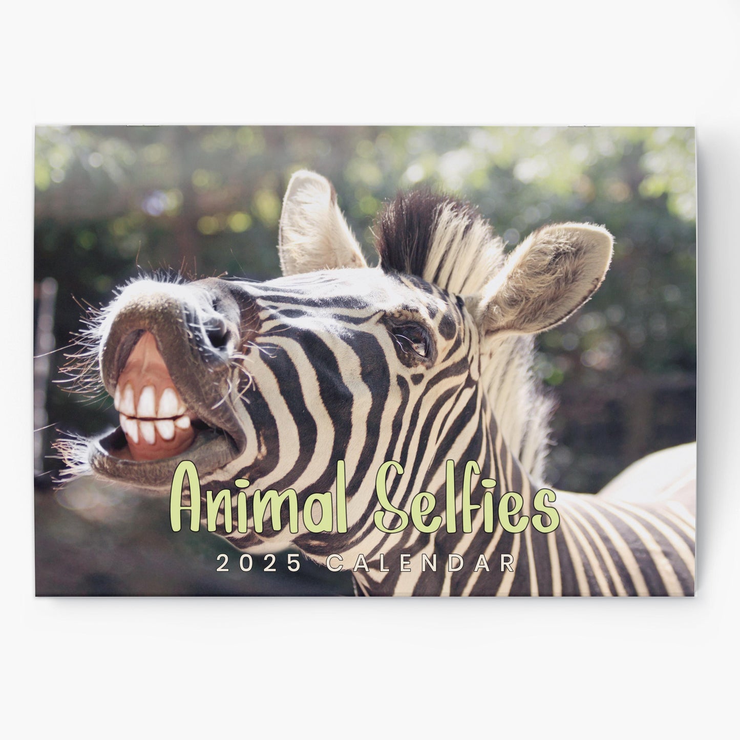 2025 Calendar Animal Selfies Wall Monthly Planner Family Home Organiser Animal Selfies