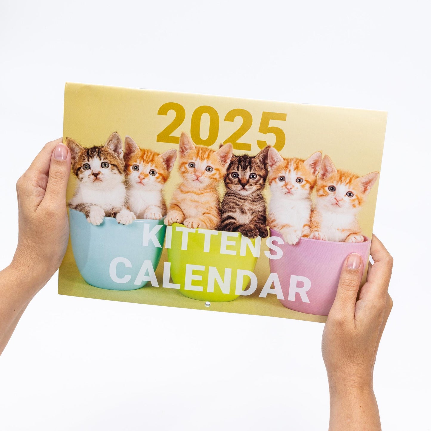 2025 Calendar Kittens Cute Wall Monthly Planner Family Home Organiser 12 Months kittens