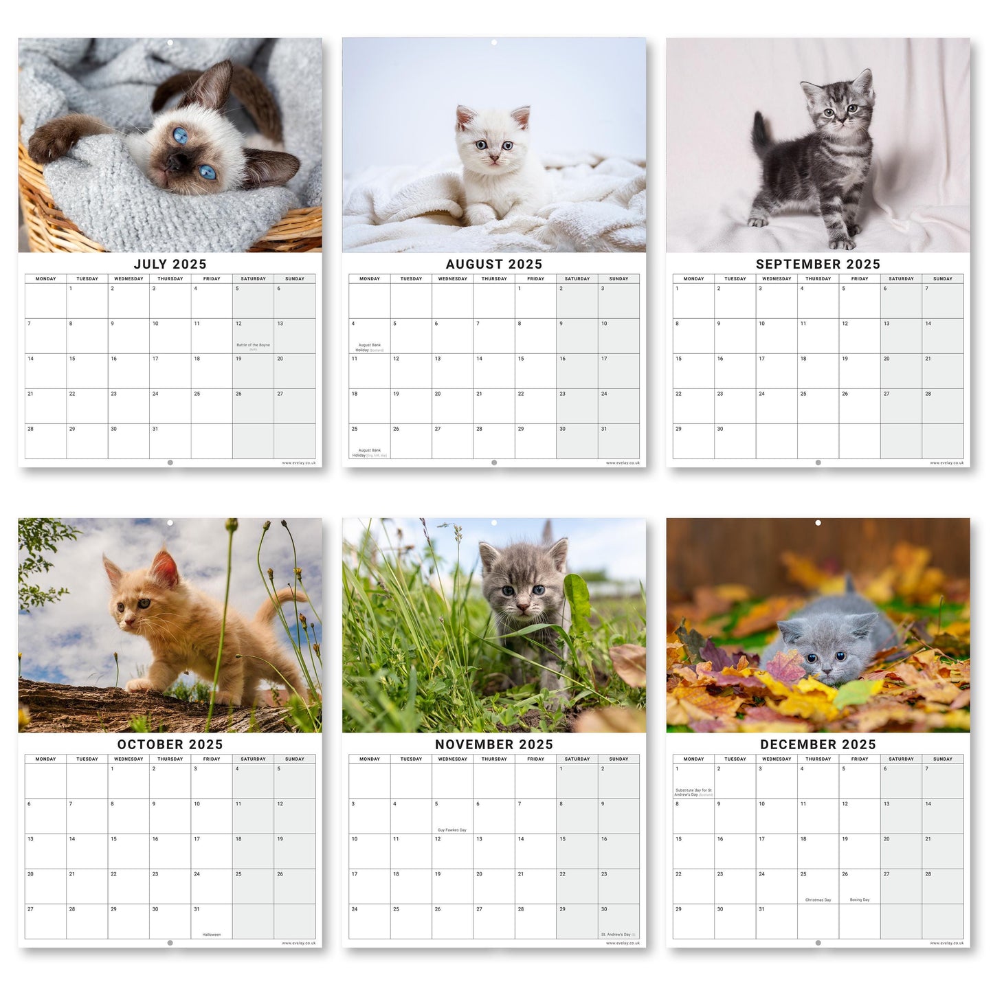 2025 Calendar Kittens Cute Wall Monthly Planner Family Home Organiser 12 Months kittens