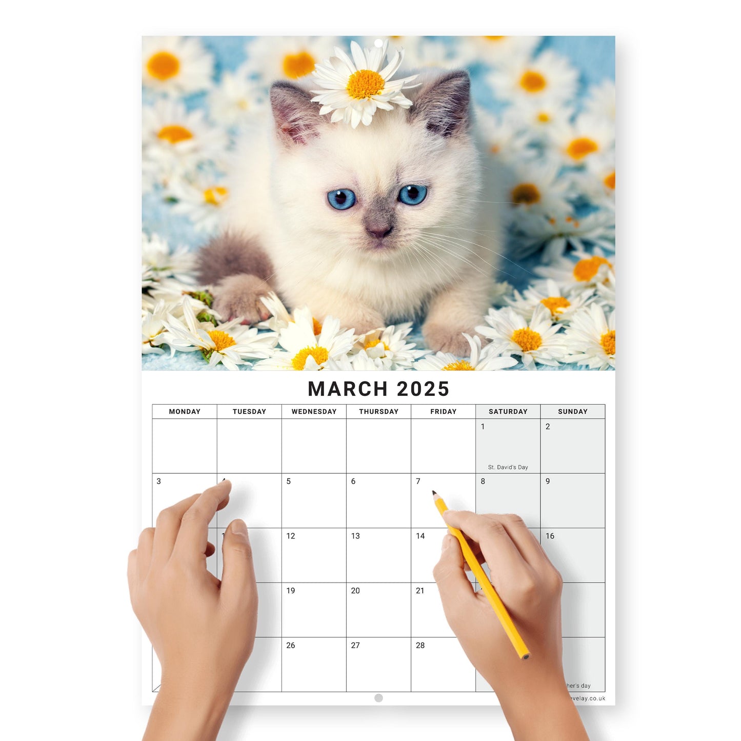 2025 Calendar Kittens Cute Wall Monthly Planner Family Home Organiser 12 Months kittens