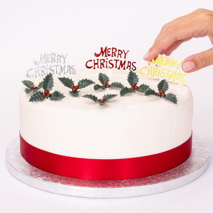 Merry Christmas Cake Topper Set – 3 Signs & 6 Holly Sprays – image 2