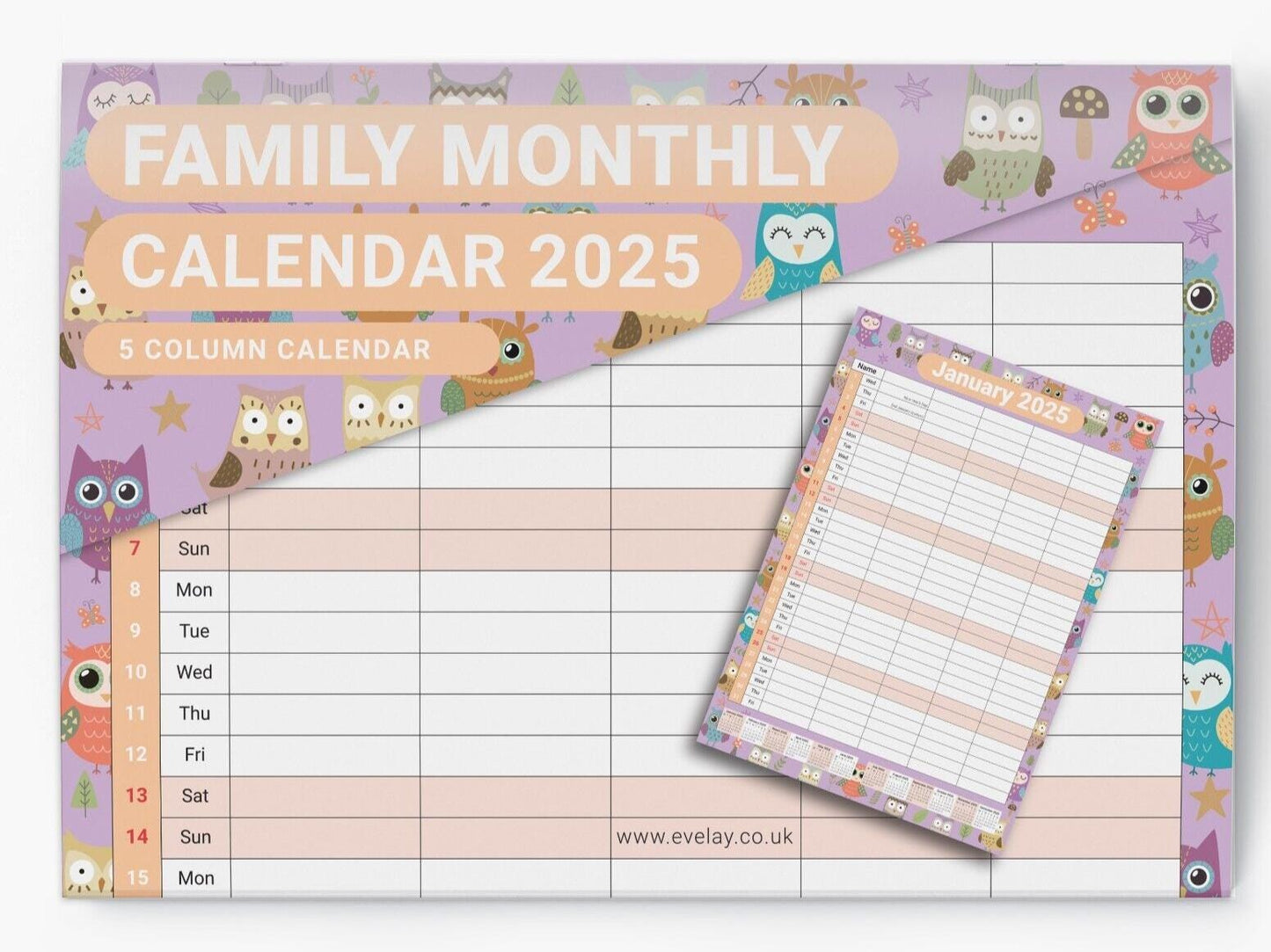 2025 Calendar Wall Monthly Planner Staff Rota Family Organiser Owls