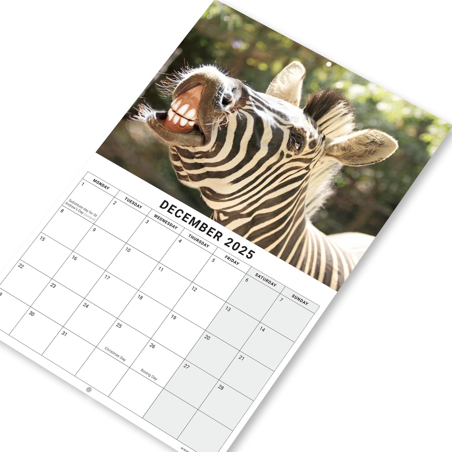 2025 Calendar Animal Selfies Wall Monthly Planner Family Home Organiser Animal Selfies