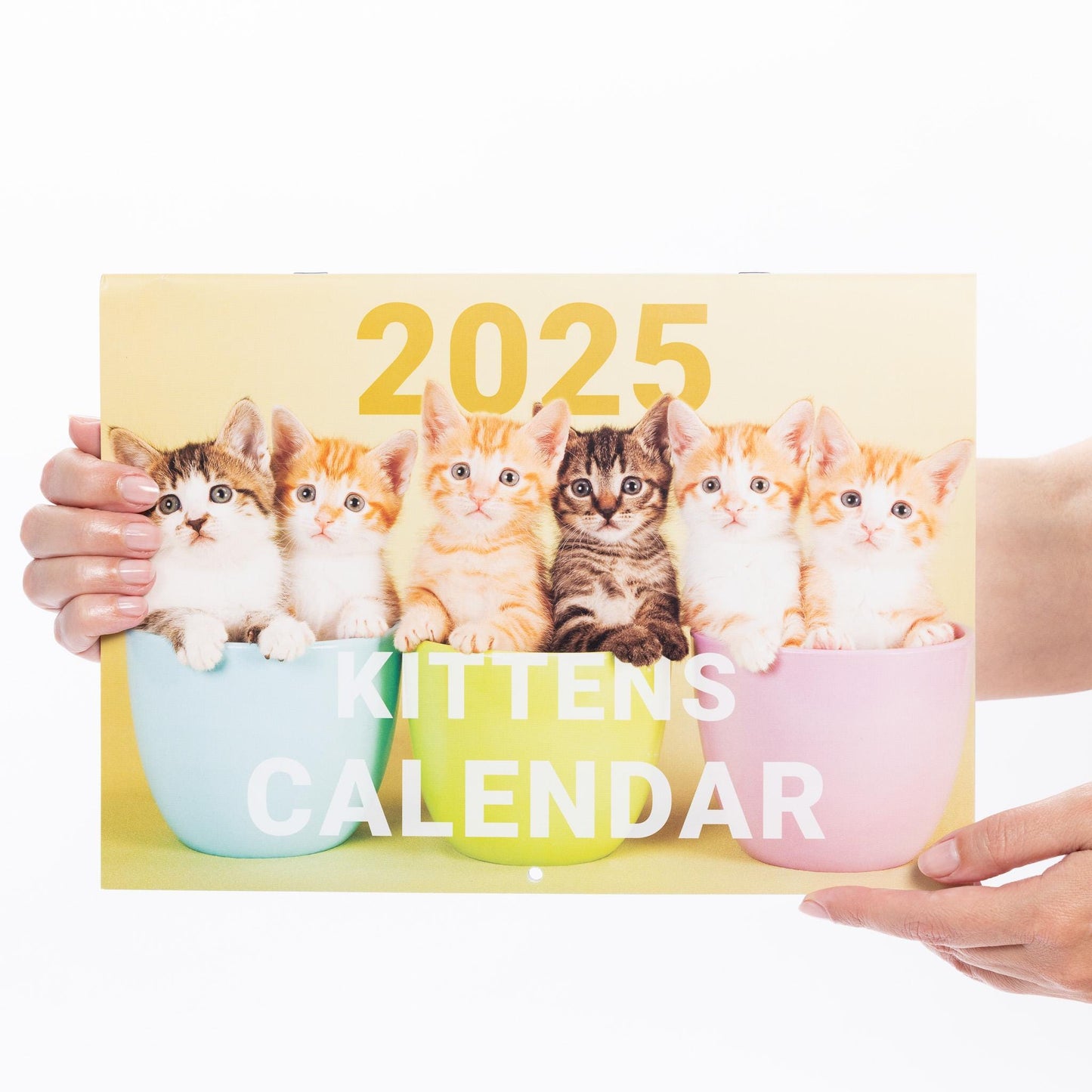 2025 Calendar Kittens Cute Wall Monthly Planner Family Home Organiser 12 Months kittens