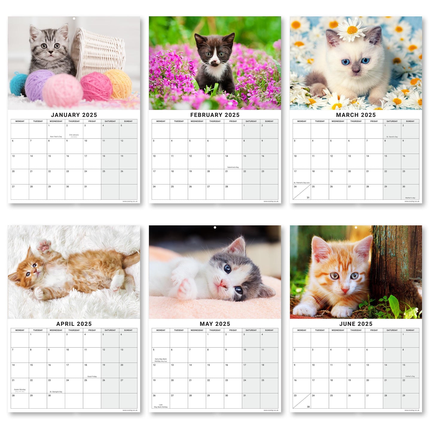 2025 Calendar Kittens Cute Wall Monthly Planner Family Home Organiser 12 Months kittens