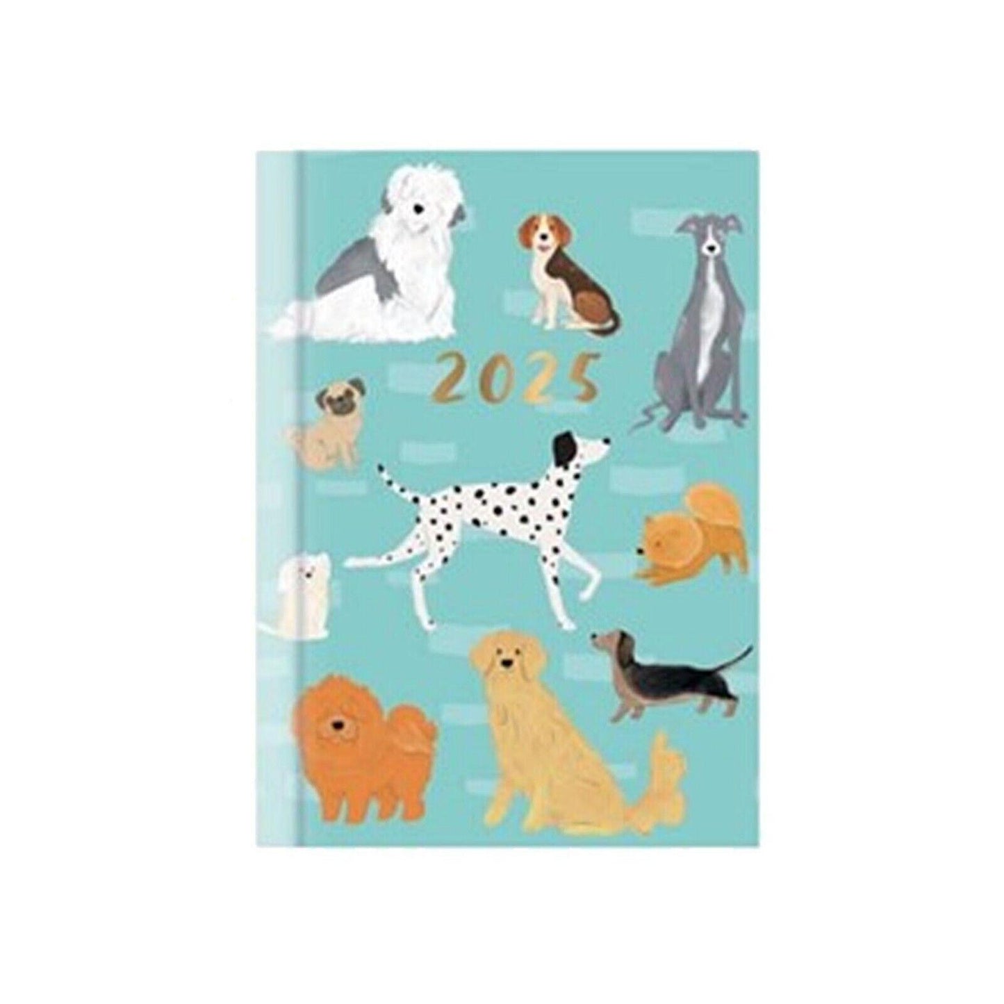 2025 Diary Pocket Size Week to View Diaries Full Year Journal Calendar Jan-Dec