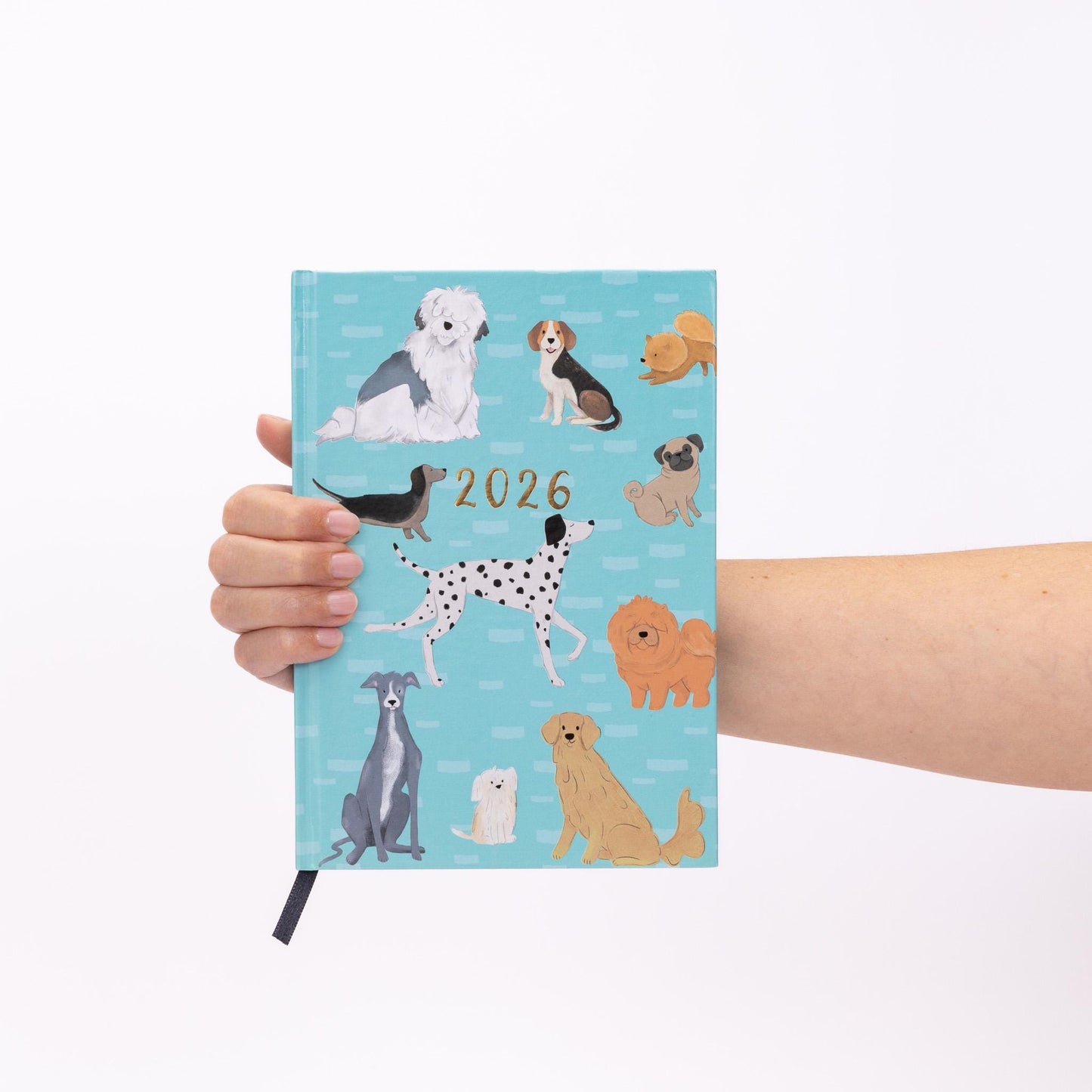 2026 Diary A5 Week to View 2026 Diaries Full Year Organiser Calendar Planner