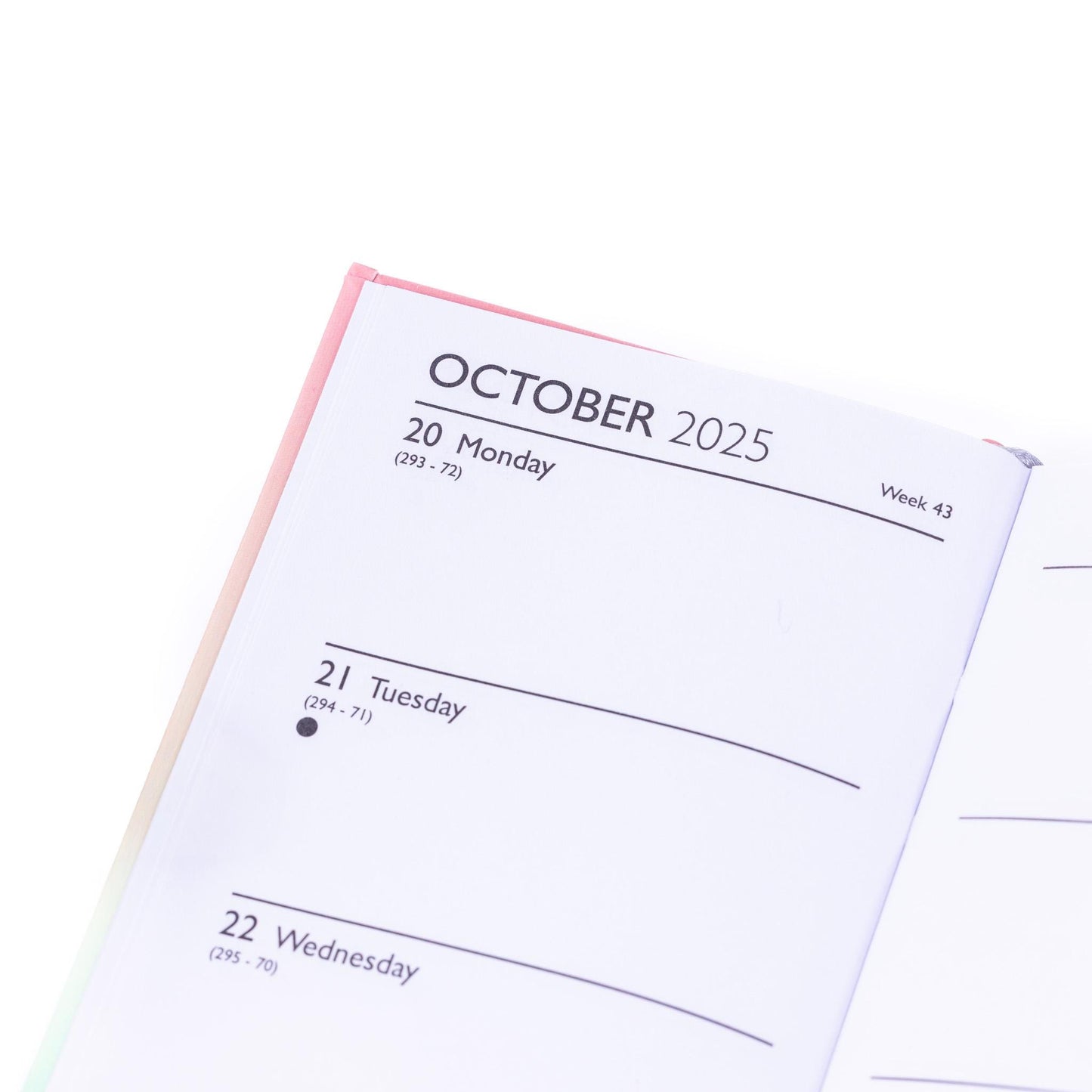 2025-2026 Academic Diary Week to View Slim Mid Year Hardback Fashion School