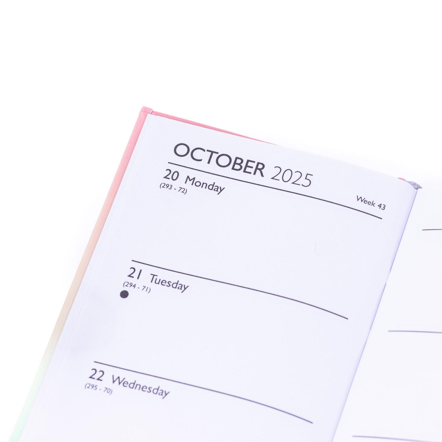 2025-2026 Academic Diary Week to View Slim Mid Year Hardback Fashion School