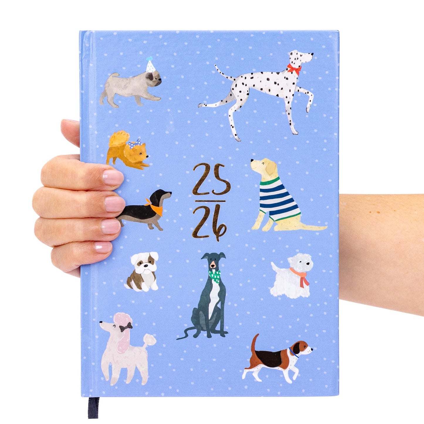 Academic 2025 2026 A5 Week to view Diary School Office Mid Year Teacher Hardback