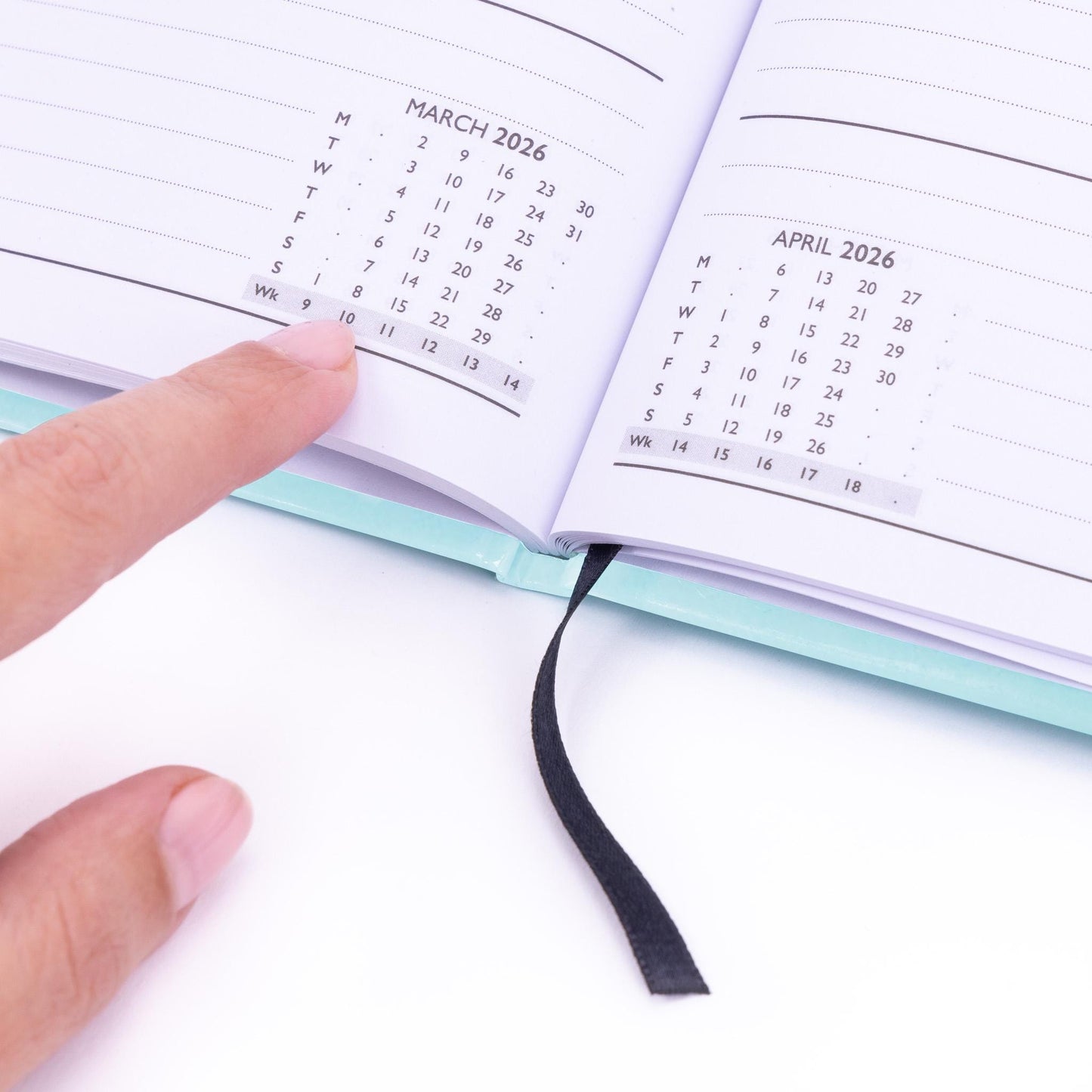 2026 A5 Diary: Week to View Planner with Dog Cover