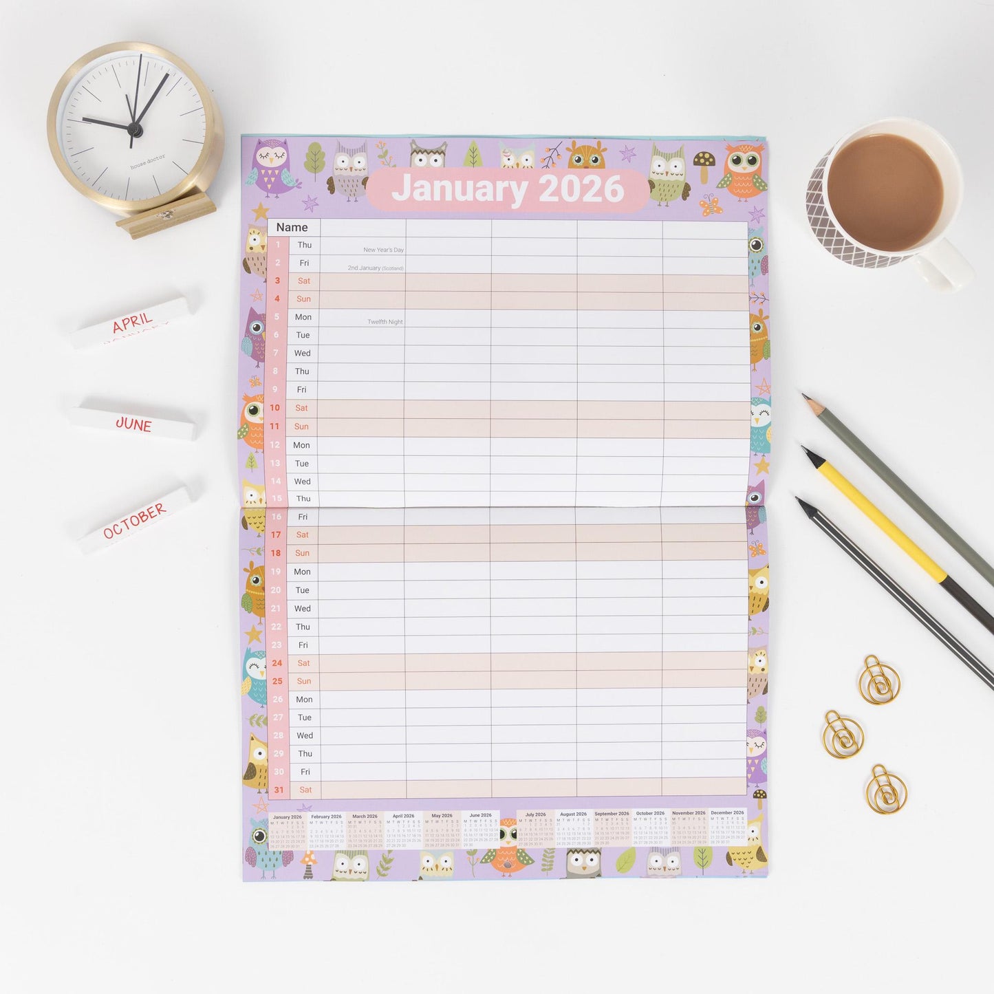 2026 A3 Wall Calendar 5 Columns Family Monthly Planner Staff Rota Family Organiser Month per View owl