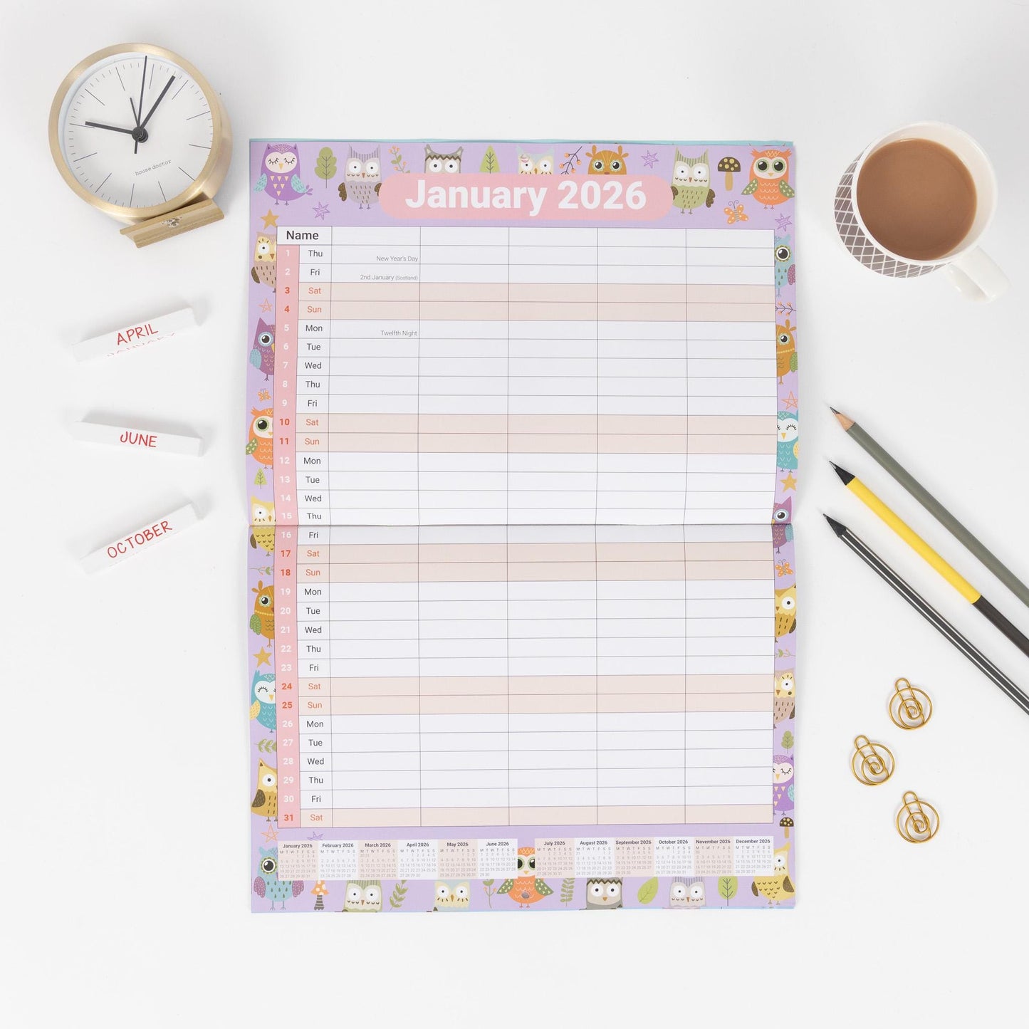 2026 A3 Wall Calendar 5 Columns Family Monthly Planner Staff Rota Family Organiser Month per View owl