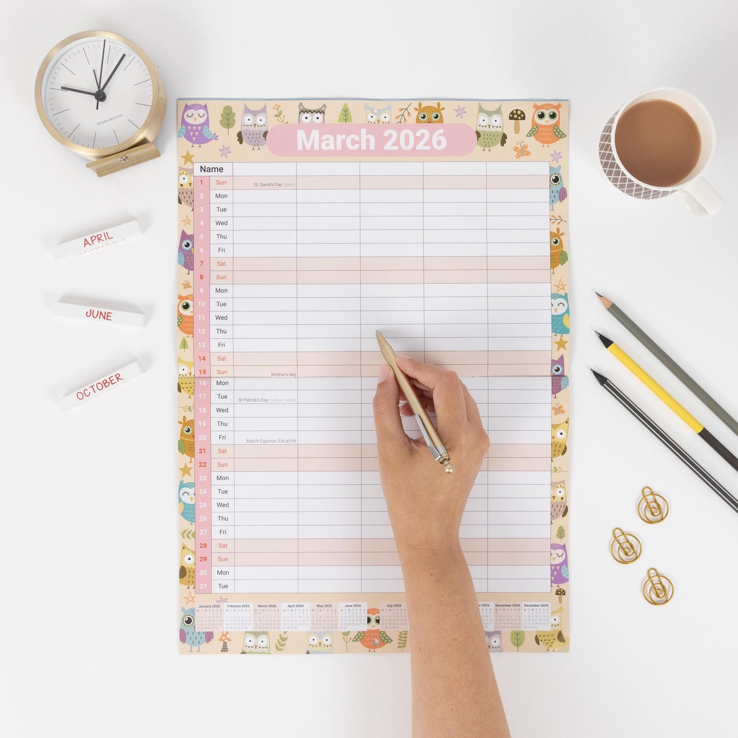 2026 A3 Wall Calendar 5 Columns Family Monthly Planner Staff Rota Family Organiser Month per View owl