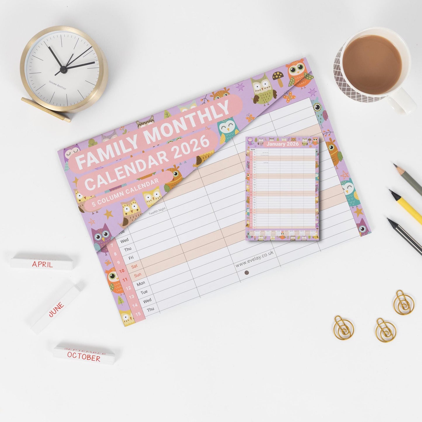 2026 A3 Wall Calendar 5 Columns Family Monthly Planner Staff Rota Family Organiser Month per View owl