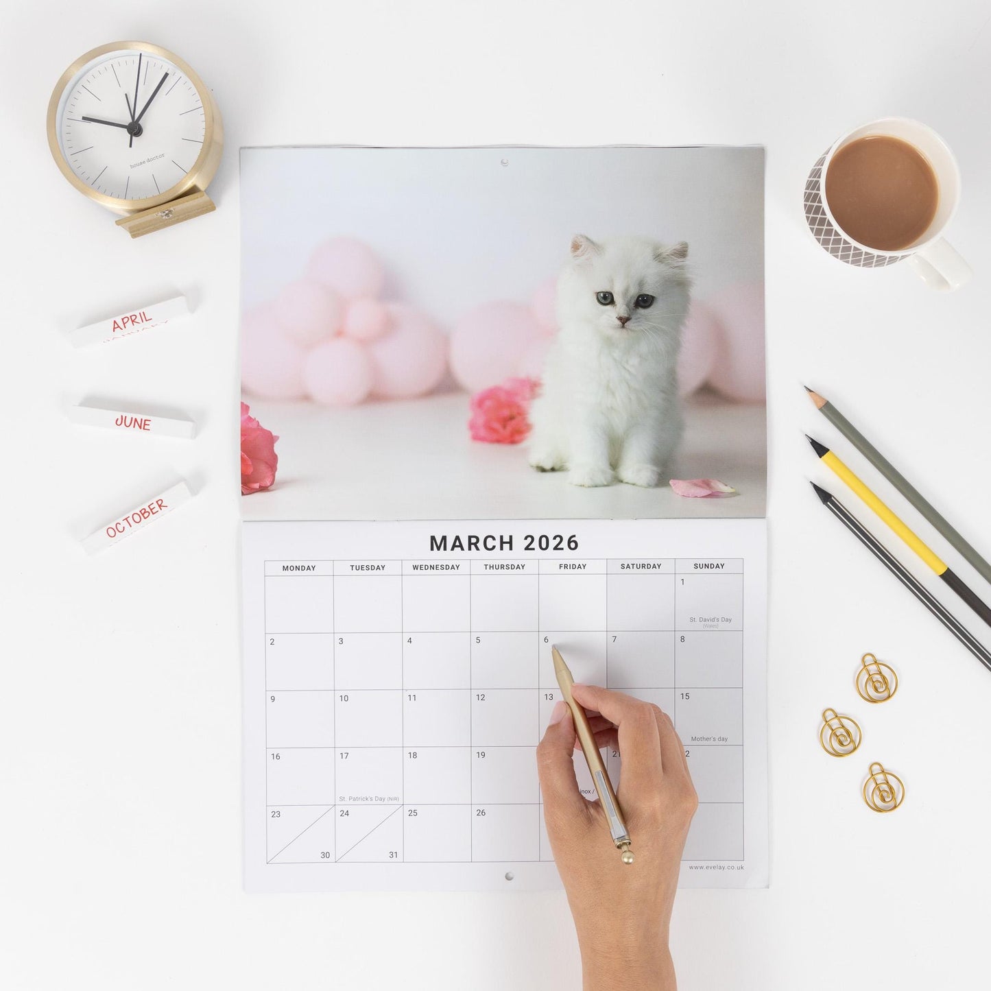2026 Calendar Seasons Wall Monthly Planner Family Home Organiser 12 Months Seasons kitten