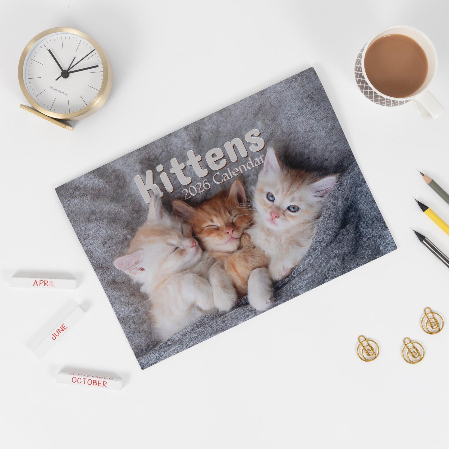 2026 Calendar Seasons Wall Monthly Planner Family Home Organiser 12 Months Seasons kitten