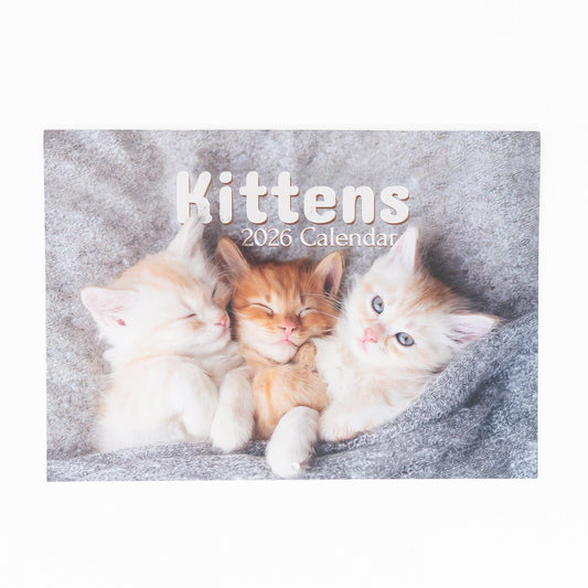 2026 Calendar Seasons Wall Monthly Planner Family Home Organiser 12 Months Seasons kitten