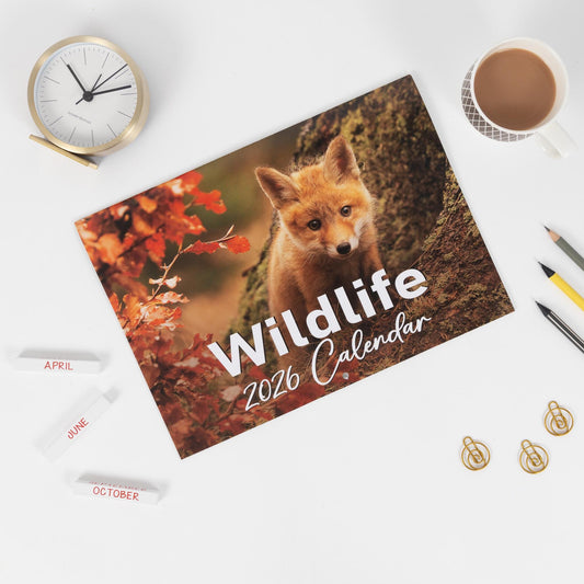 2026 British Wildlife Calendar Wall Monthly Planner Family Home Organiser