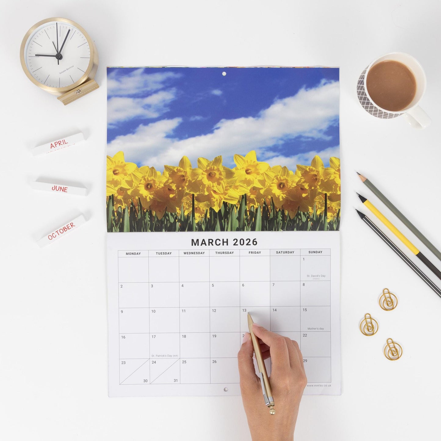 2026 A4 Calendar Flowers Wall Monthly Planner Family Home Organiser 12 Months