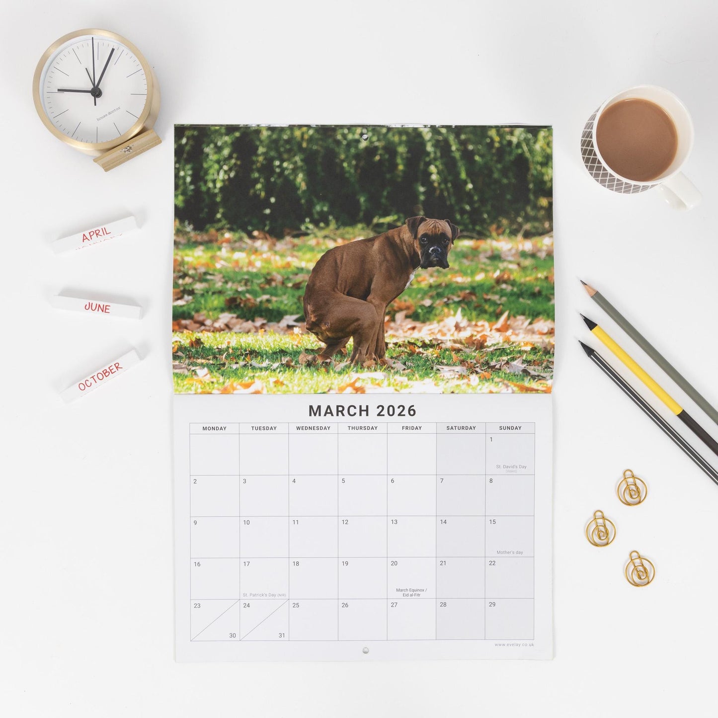 2026 Fun Pooing Dogs Calendar Wall Monthly Planner Staff Rota Secret Santa Gift