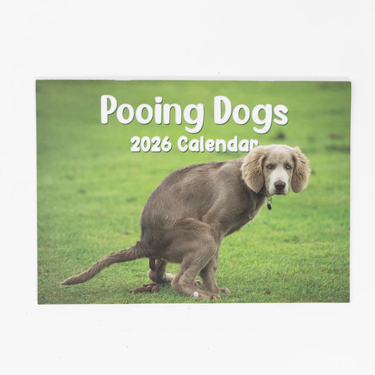 2026 Fun Pooing Dogs Calendar Wall Monthly Planner Staff Rota Secret Santa Gift