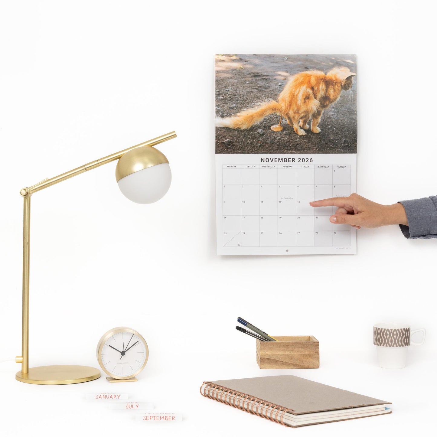Funny Pooing Cats 2026 Wall Calendar: Monthly Planner