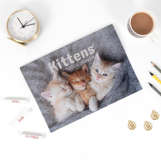 2026 Kittens Wall Calendar: Monthly Planner with Note Space