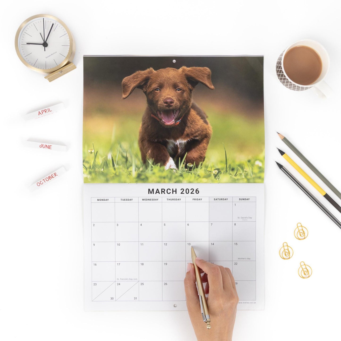 2026 Puppies Dogs Calendar Wall Monthly Planner Family Home Organiser
