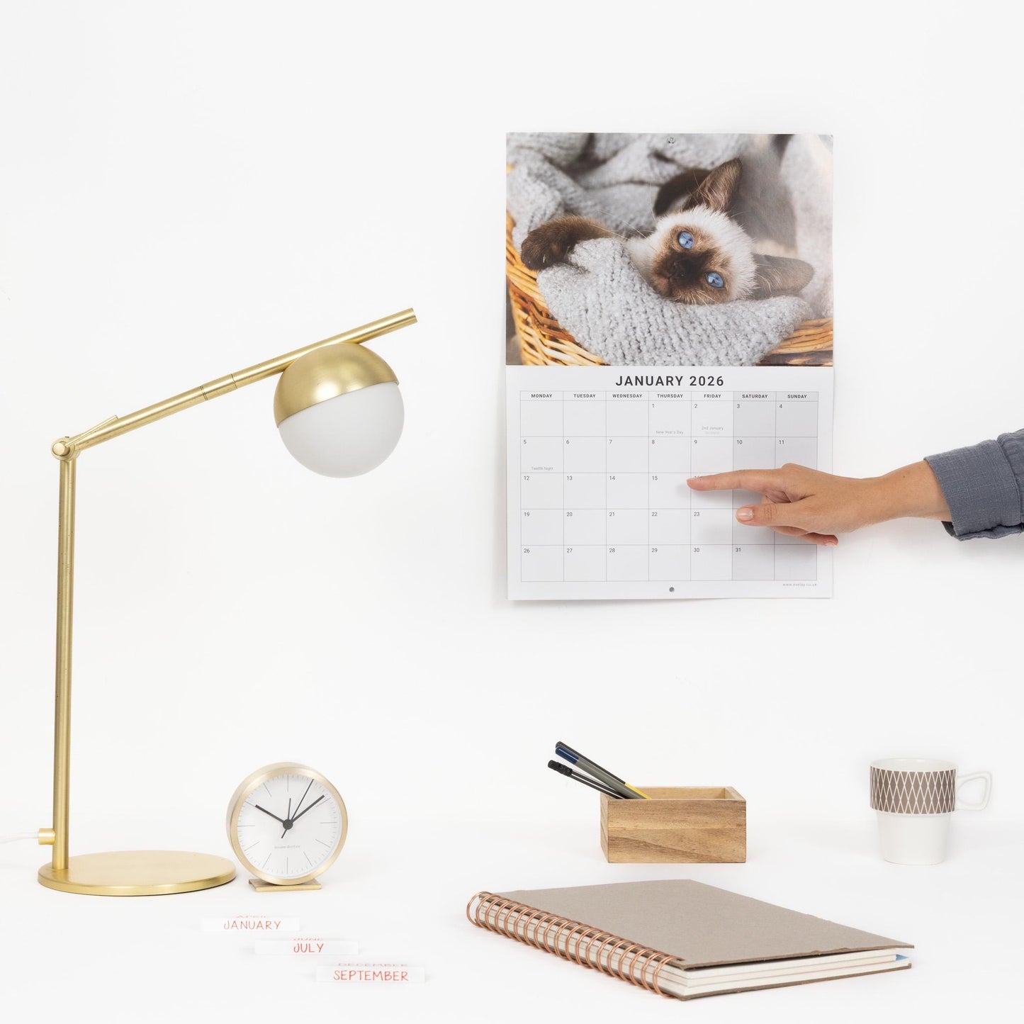 2026 Calendar Seasons Wall Monthly Planner Family Home Organiser 12 Months Seasons kitten
