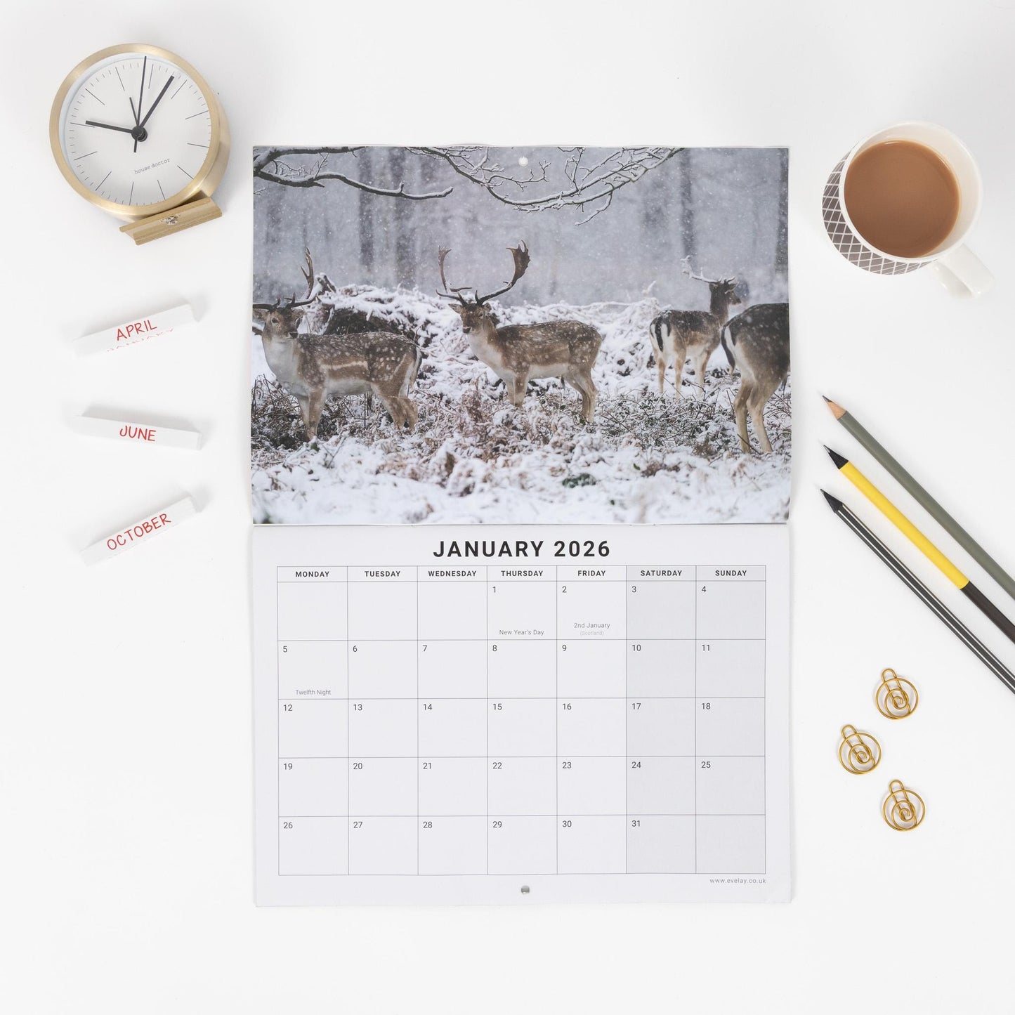 2026 British Wildlife Calendar Wall Monthly Planner Family Home Organiser