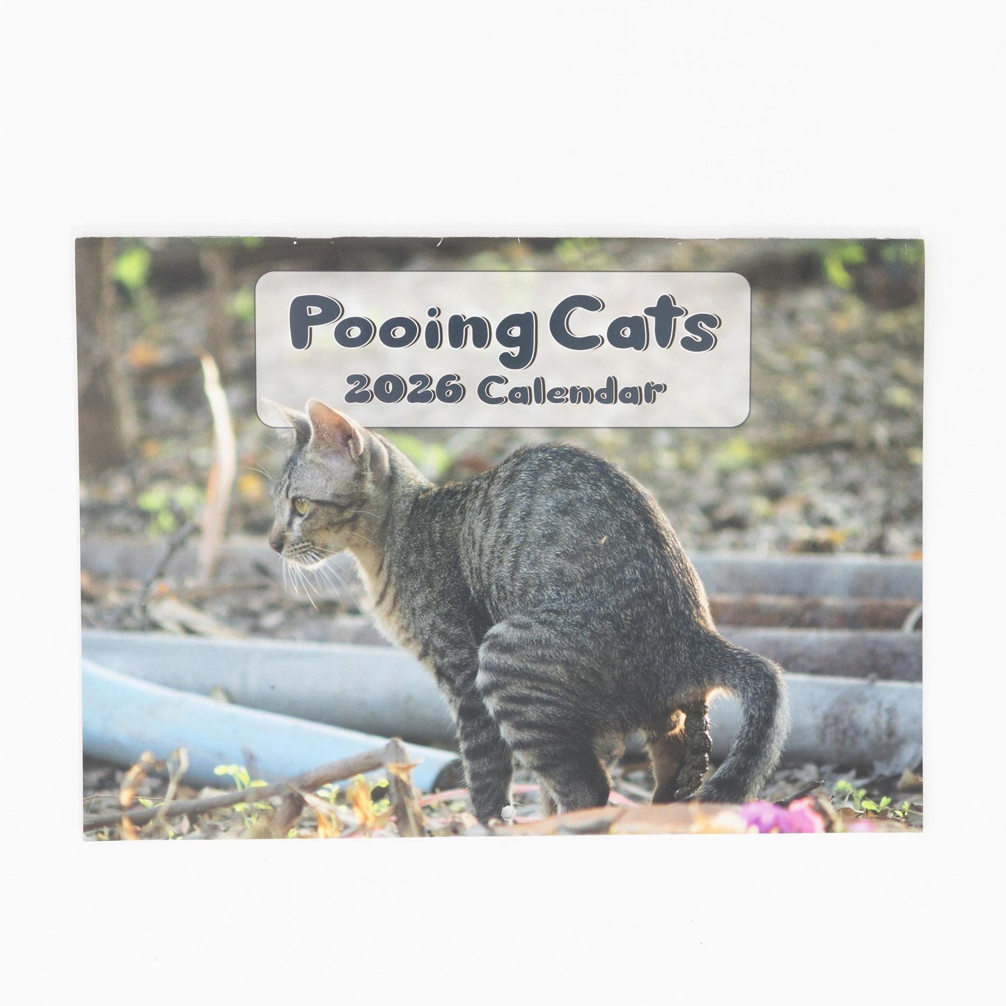 Funny Pooing Cats 2026 Wall Calendar: Monthly Planner