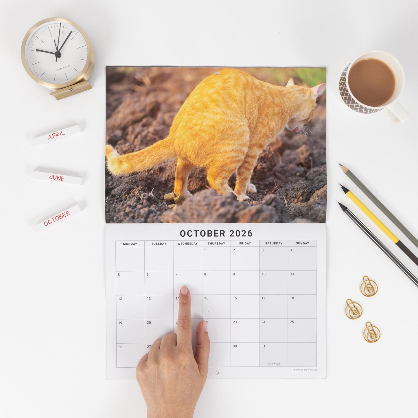 Funny Pooing Cats 2026 Wall Calendar: Monthly Planner