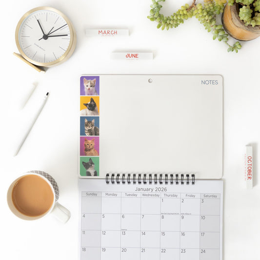 2026 Kitten Monthly Memo Board Wall Calendar Family Organiser White Board & Pen