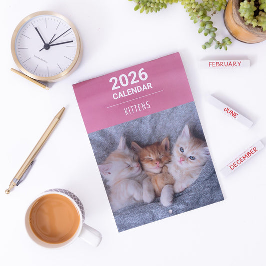 2026 Kittens Slim Wall Calendar Month to View Planner