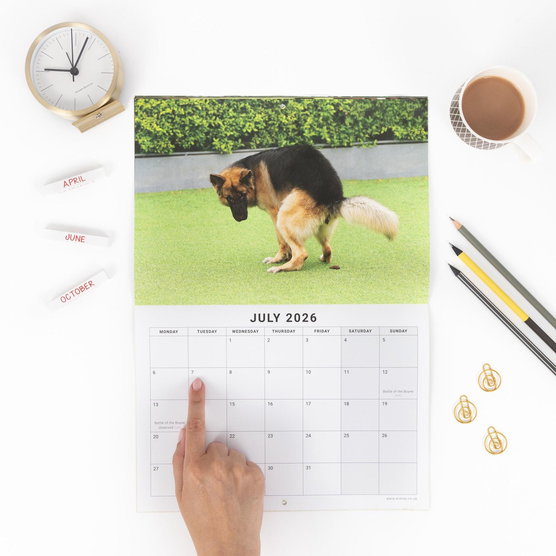 2026 Funny Pooing Dog Calendar Wall Monthly Planner Staff Rota funny staff office secret Santa planner Etsy