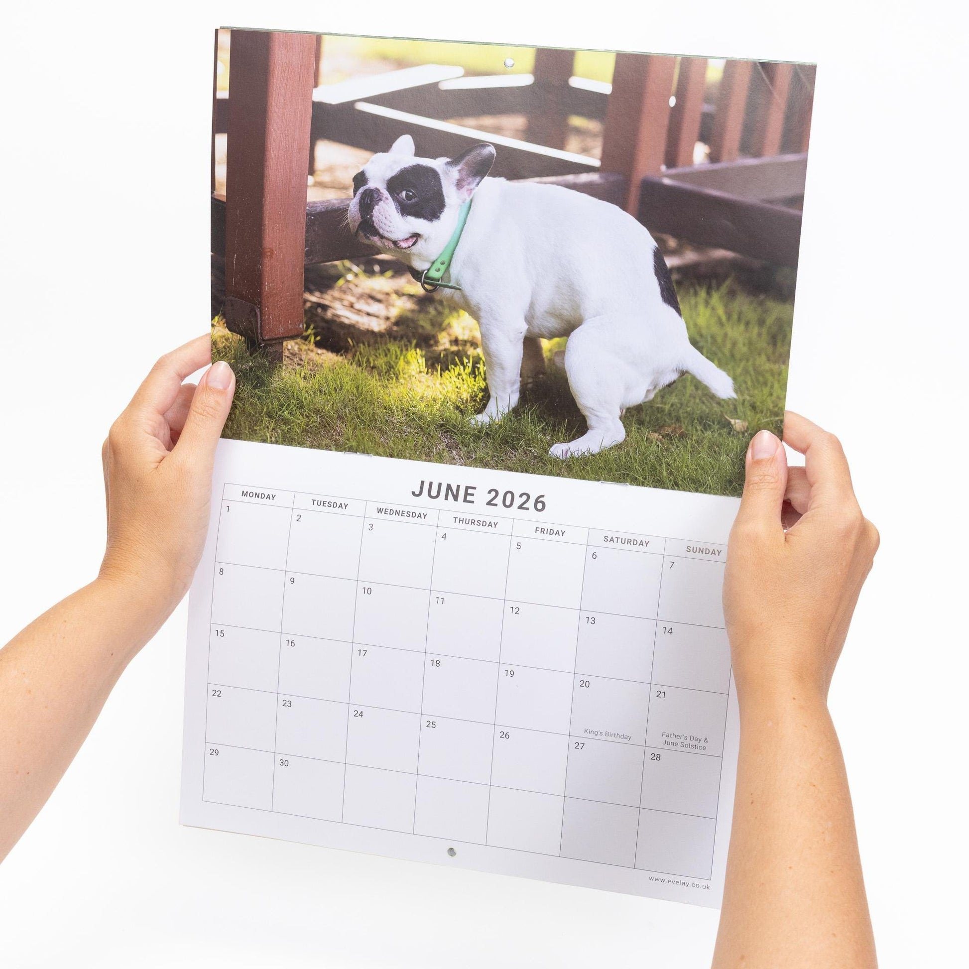 2026 Funny Pooing Dog Calendar Wall Monthly Planner Staff Rota funny staff office secret Santa planner Etsy