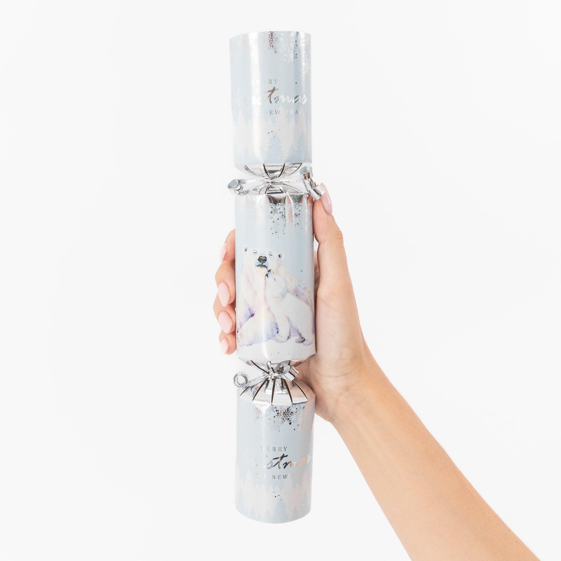 Make Your Own Christmas Cracker kit Crackers Hats Snaps pola bear Etsy