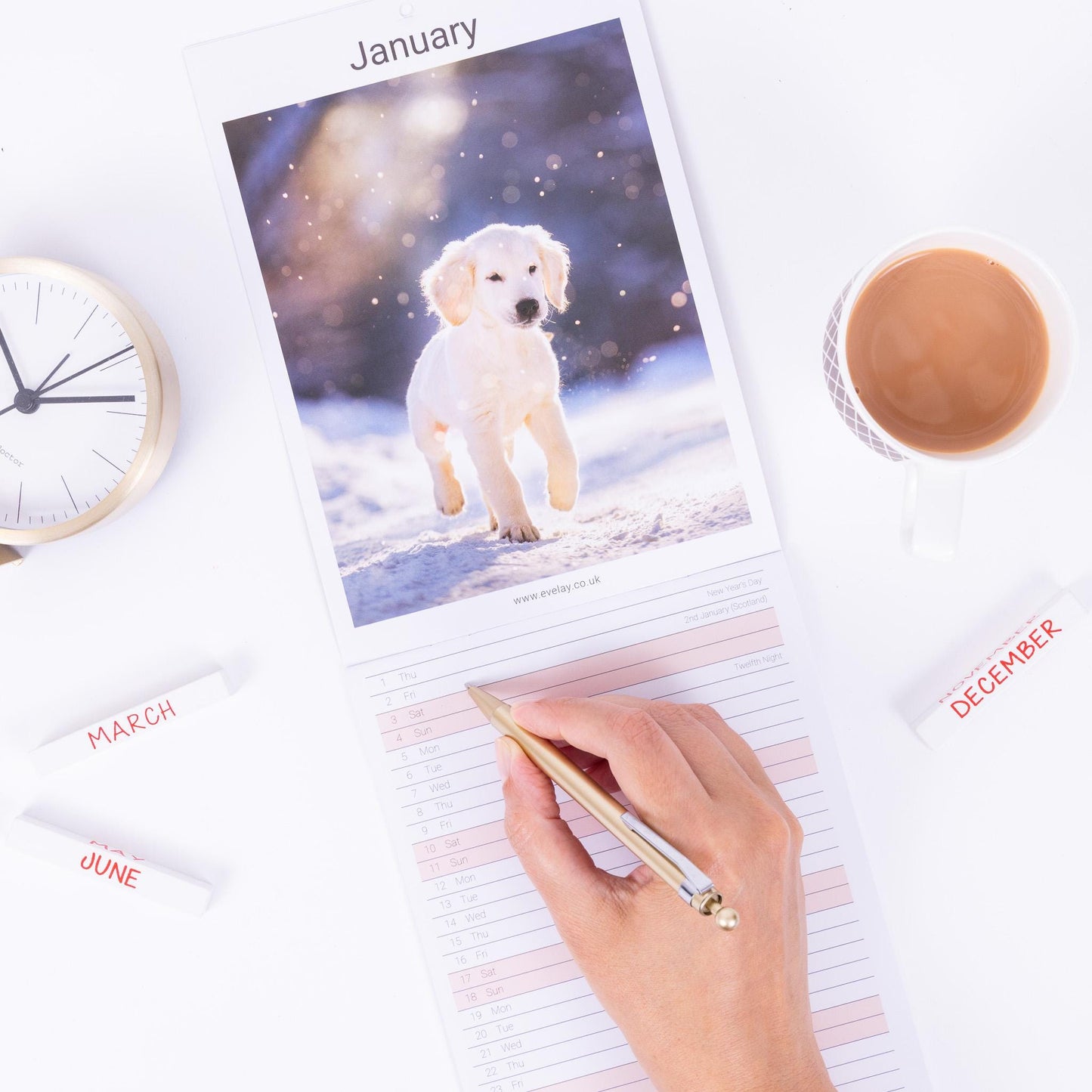 2026 puppies Slim Month To View Wall Office Home Planner Organiser Calendar Etsy