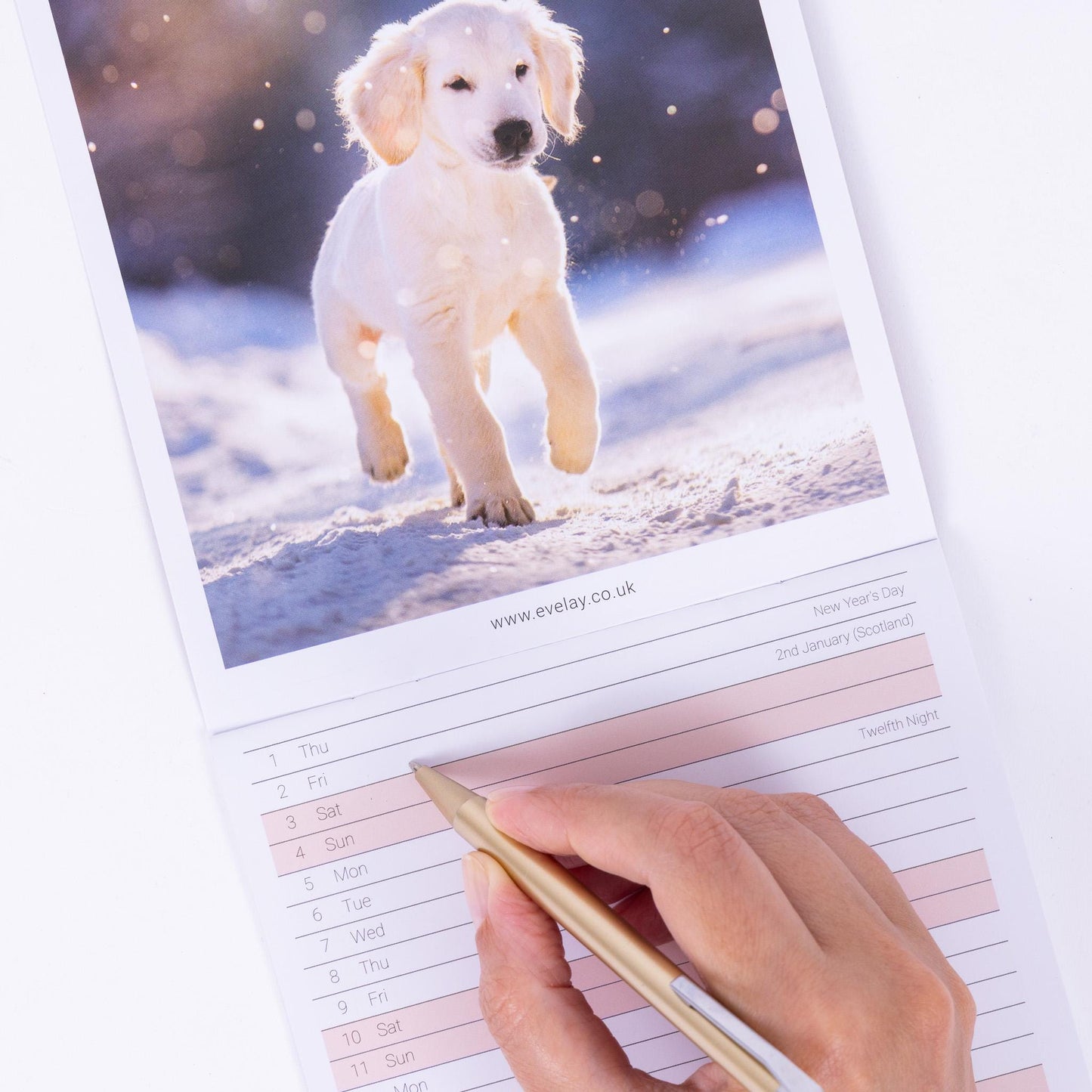 2026 puppies Slim Month To View Wall Office Home Planner Organiser Calendar Etsy