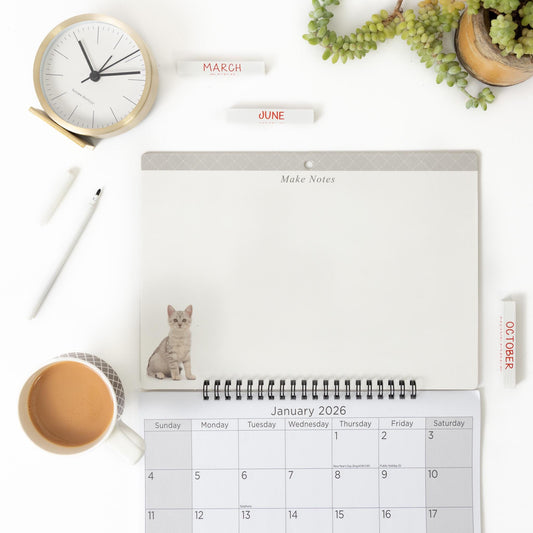 2026 Kitten Monthly Memo Board Wall Calendar Family Organiser White Board & Pen Etsy