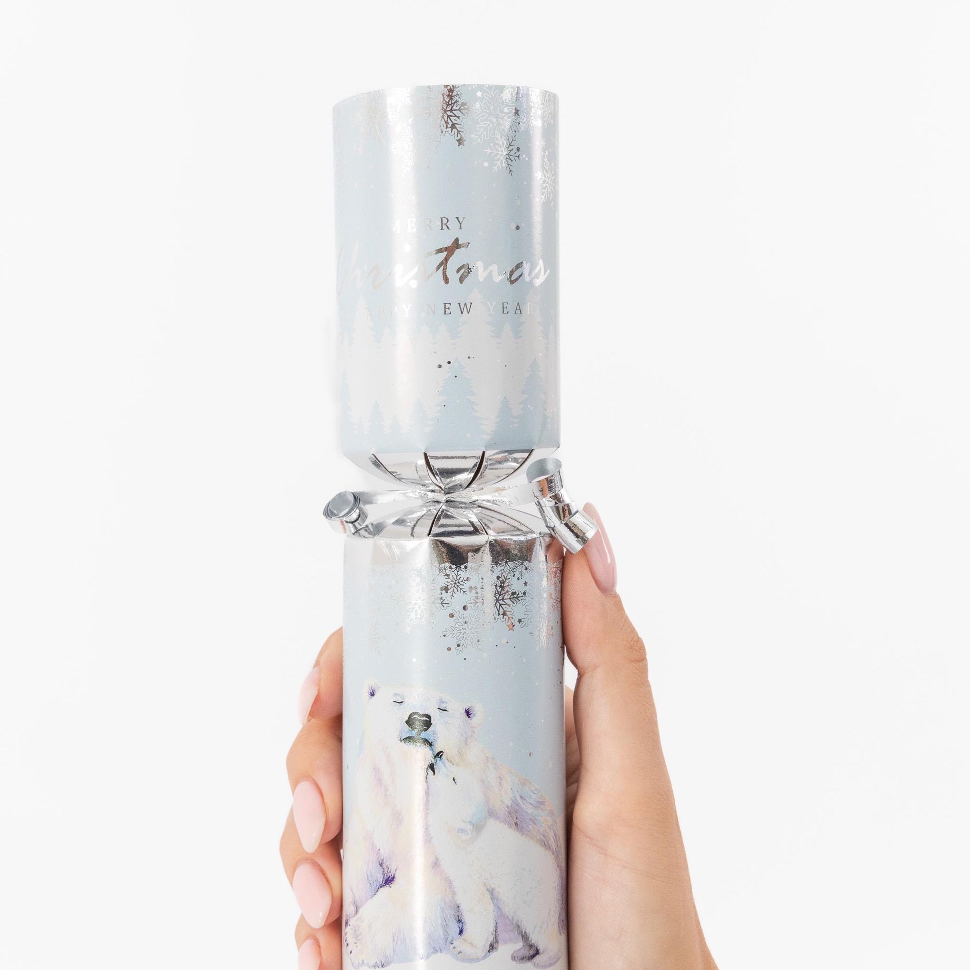 Make Your Own Christmas Cracker kit Crackers Hats Snaps pola bear Etsy