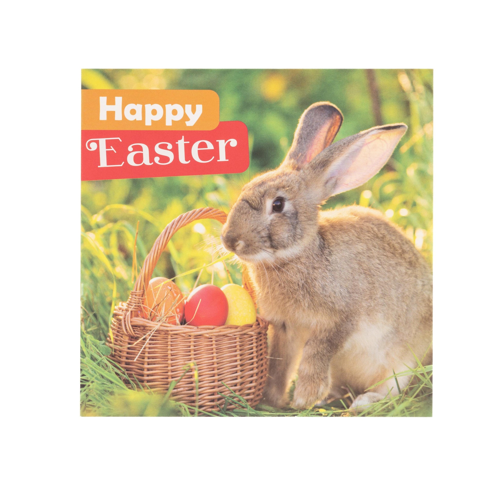 10 Easter Cards Open Easter Card Religious Bunny Daffodils Flowers Greetings Etsy
