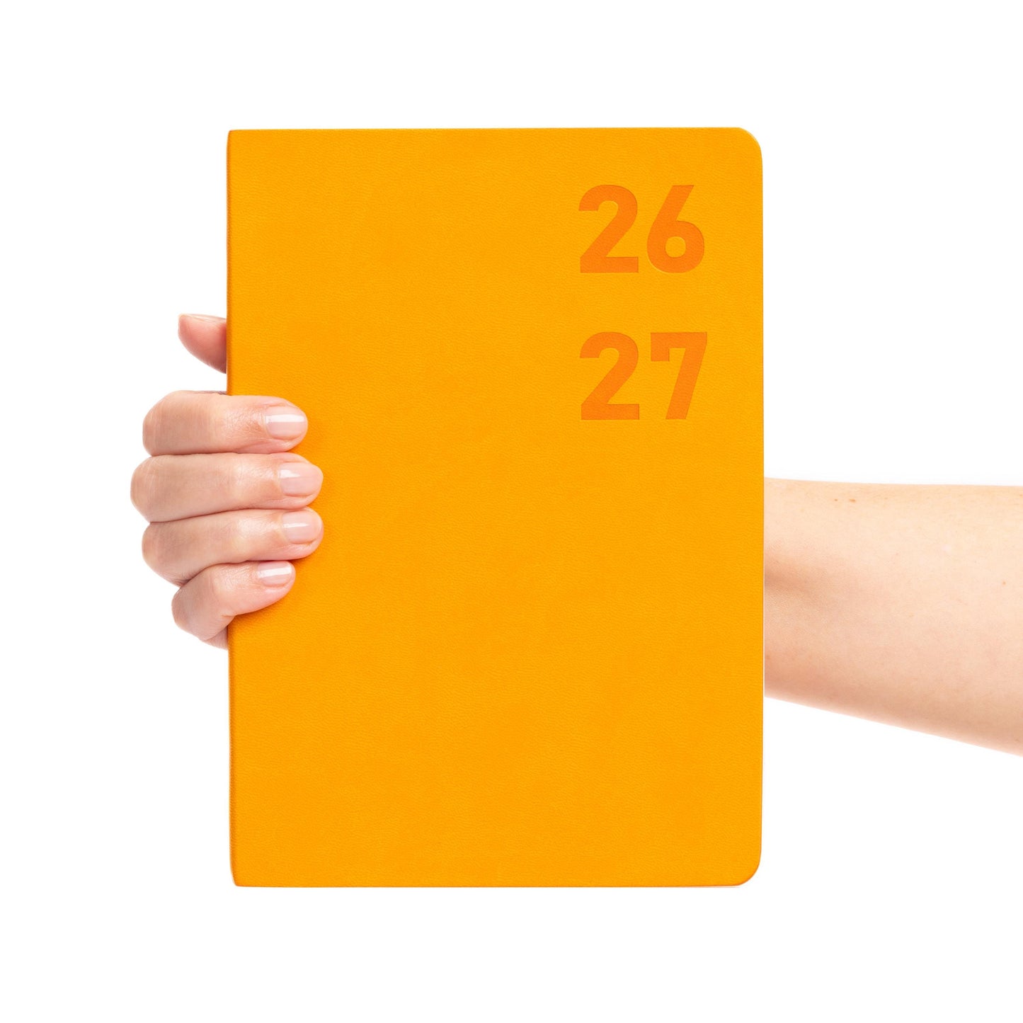 2026-2027 Academic Diary A5 Week to view School Mid Year Felix Softcover Etsy