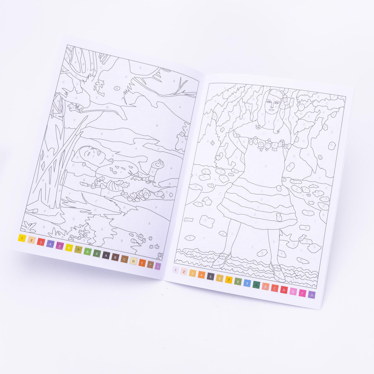 Advanced Adult Colouring Book with 20 Colouring Pencils A4 Colour by Numbers Masterpieces Art Set Gift Etsy