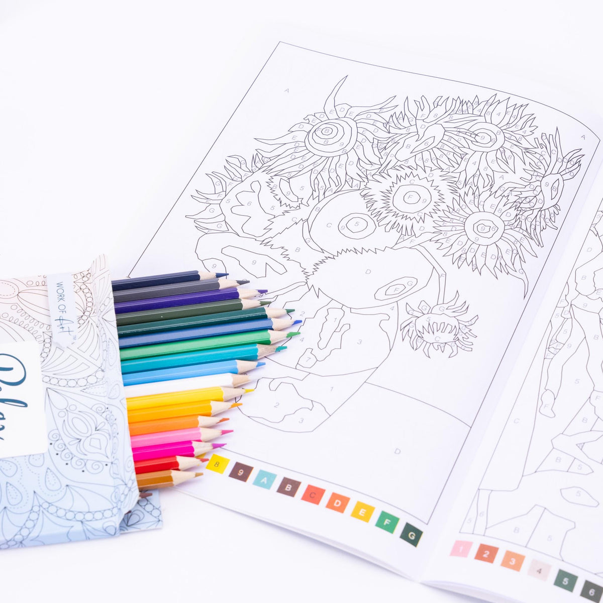 Advanced Adult Colouring Book with 20 Colouring Pencils A4 Colour by Numbers Masterpieces Art Set Gift Etsy