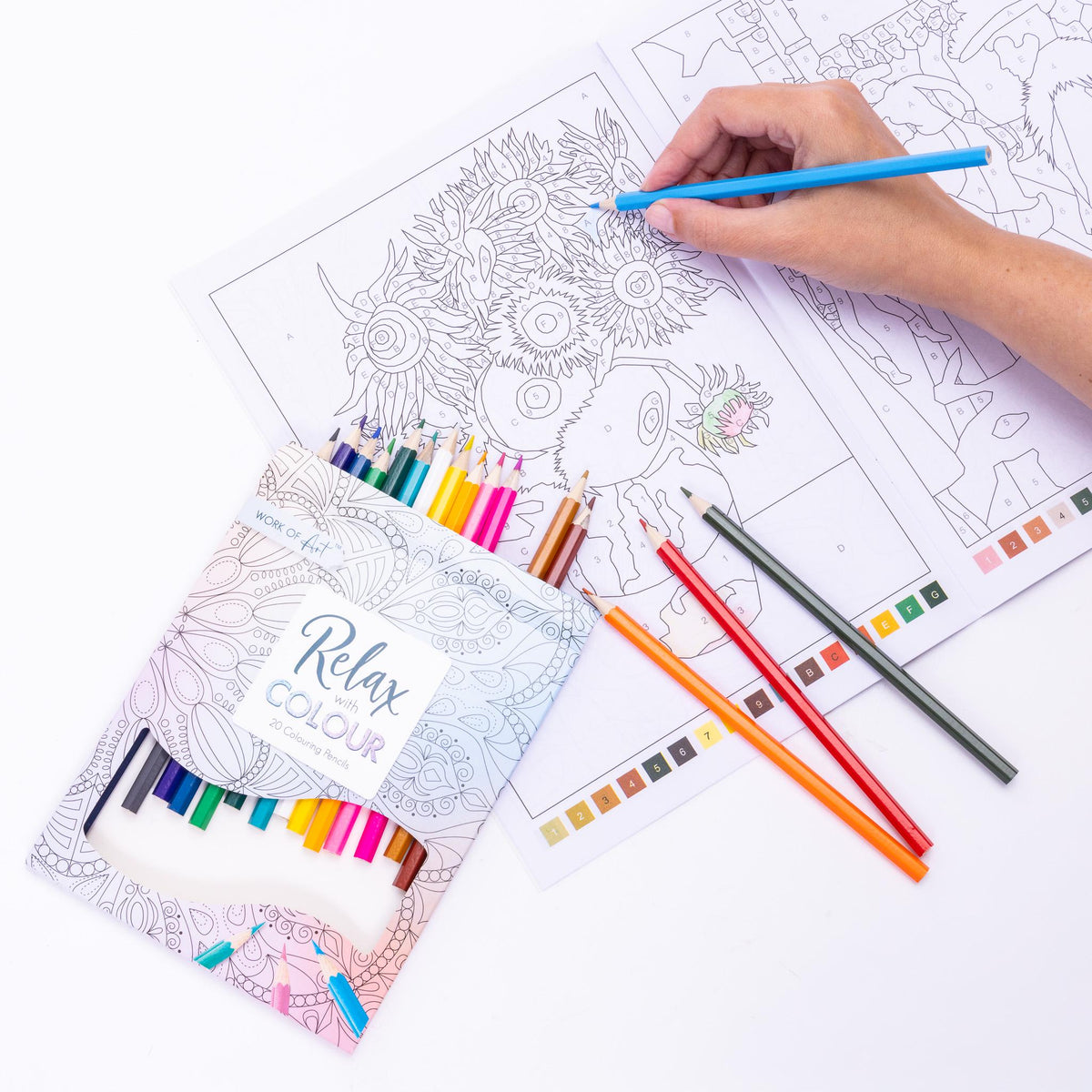 Advanced Adult Colouring Book with 20 Colouring Pencils A4 Colour by Numbers Masterpieces Art Set Gift Etsy