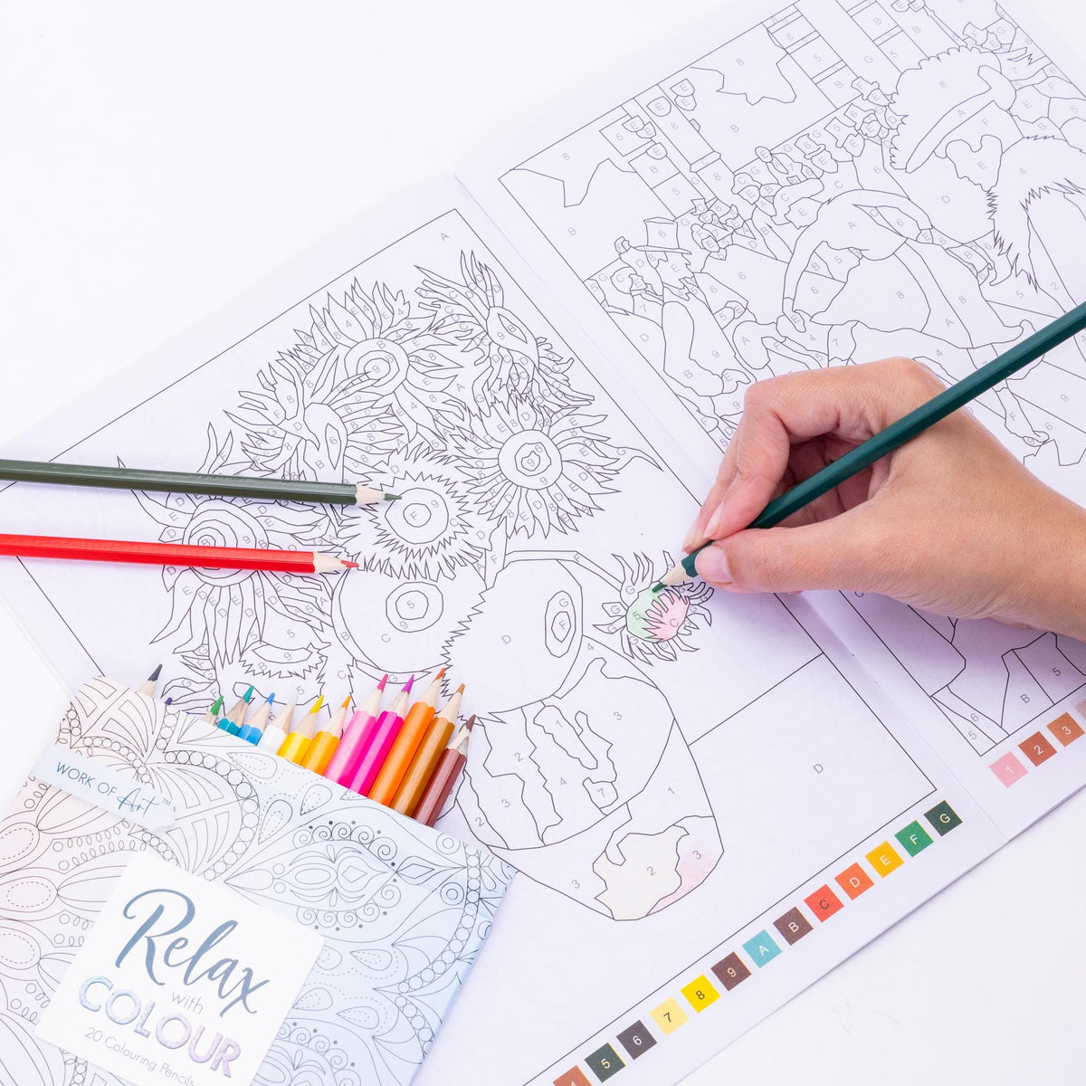 Advanced Adult Colouring Book with 20 Colouring Pencils A4 Colour by Numbers Masterpieces Art Set Gift Etsy