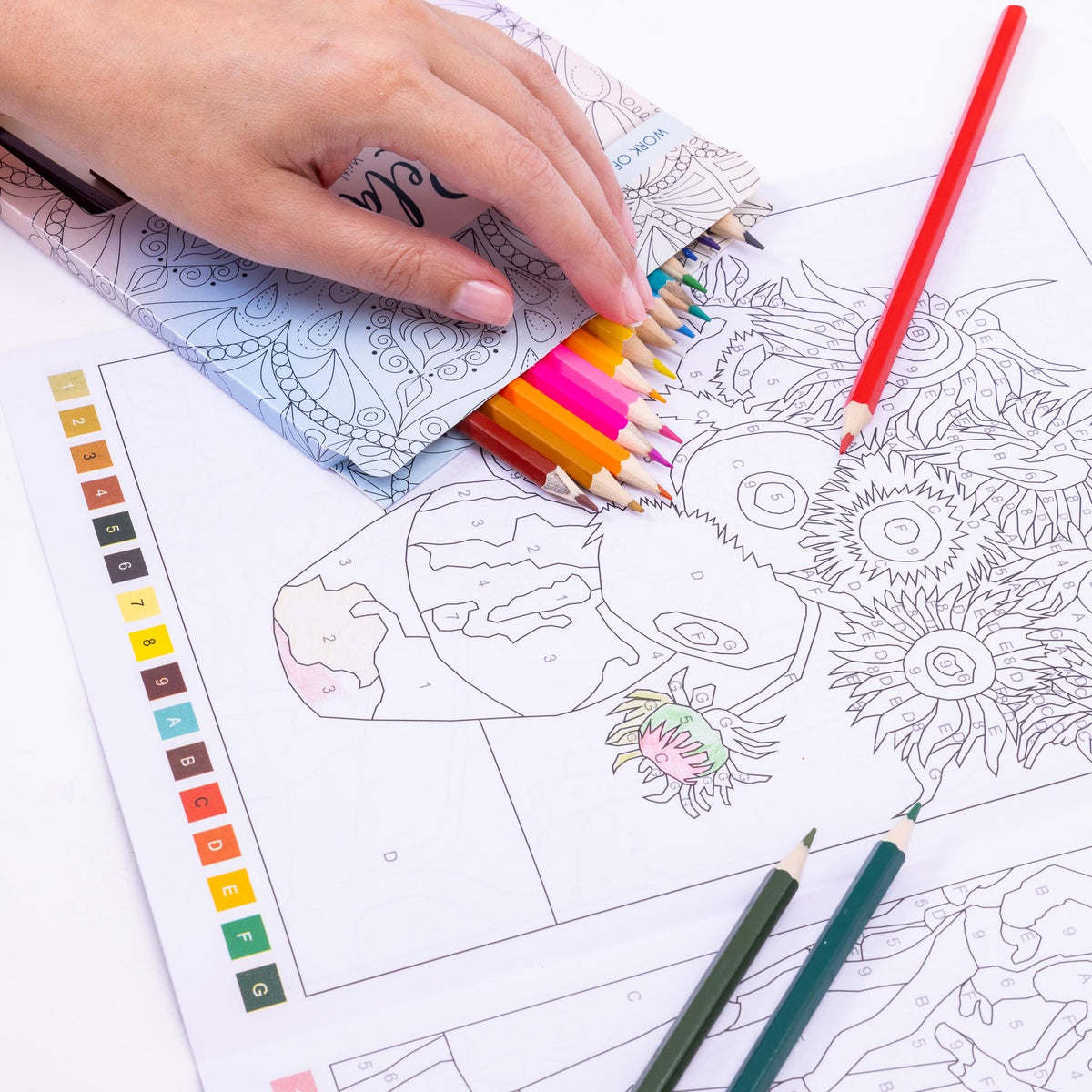 Advanced Adult Colouring Book with 20 Colouring Pencils A4 Colour by Numbers Masterpieces Art Set Gift Etsy